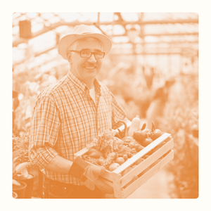 Homme souriant portant un panier de légumes dans une serre.
